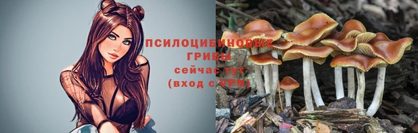 гашик Абинск