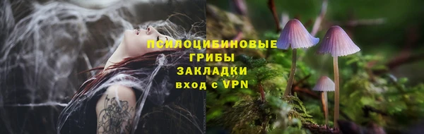гашик Абинск