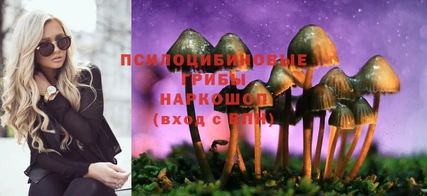 гашик Абинск