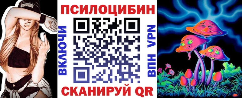 купить   Серпухов  Псилоцибиновые грибы Cubensis 
